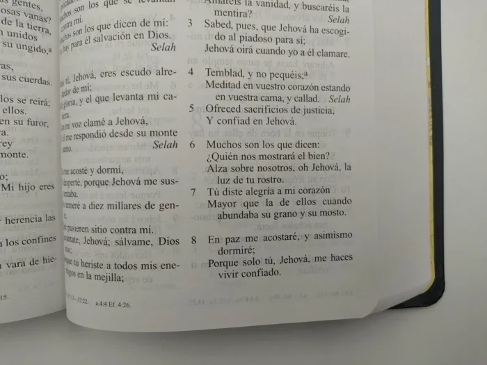 Biblia Letra Grande Reina Valera 1960 Tapa Blanda Simil Cuero